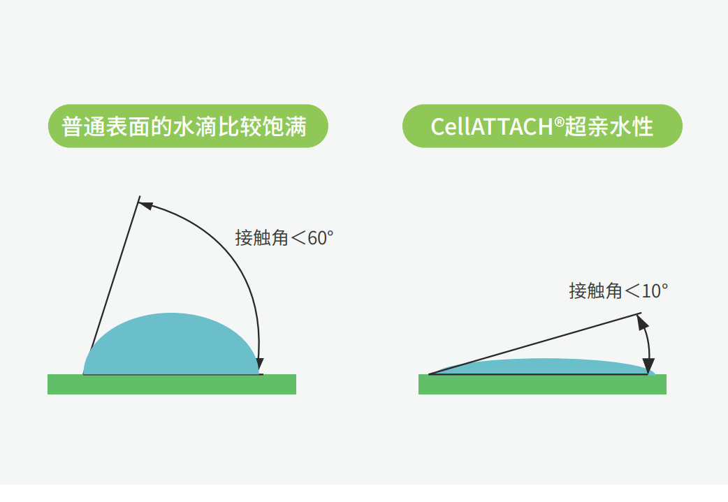 独特的超亲水表面处理技术，能为细胞提供更好的吸附性，促进细胞快速贴壁生长，提高产量